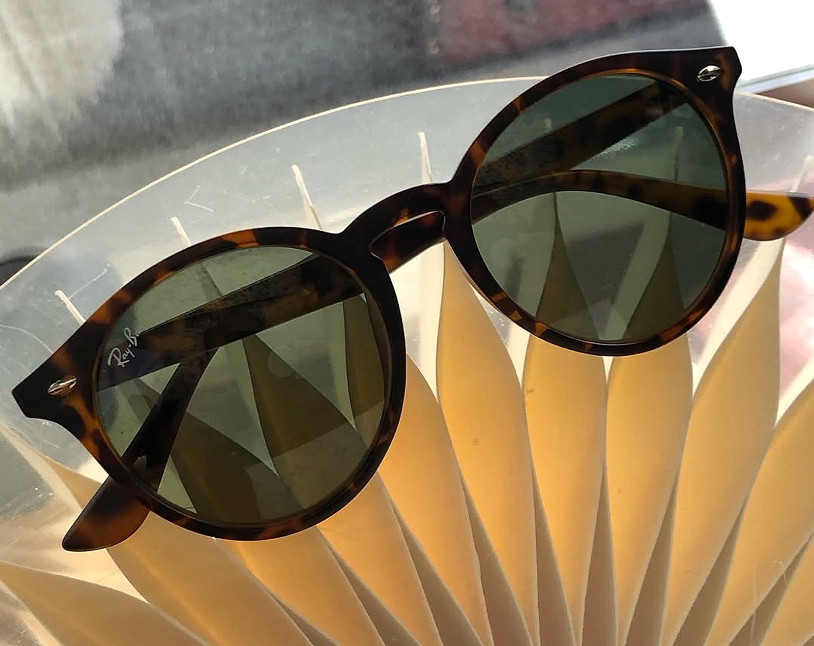 Round Acetate